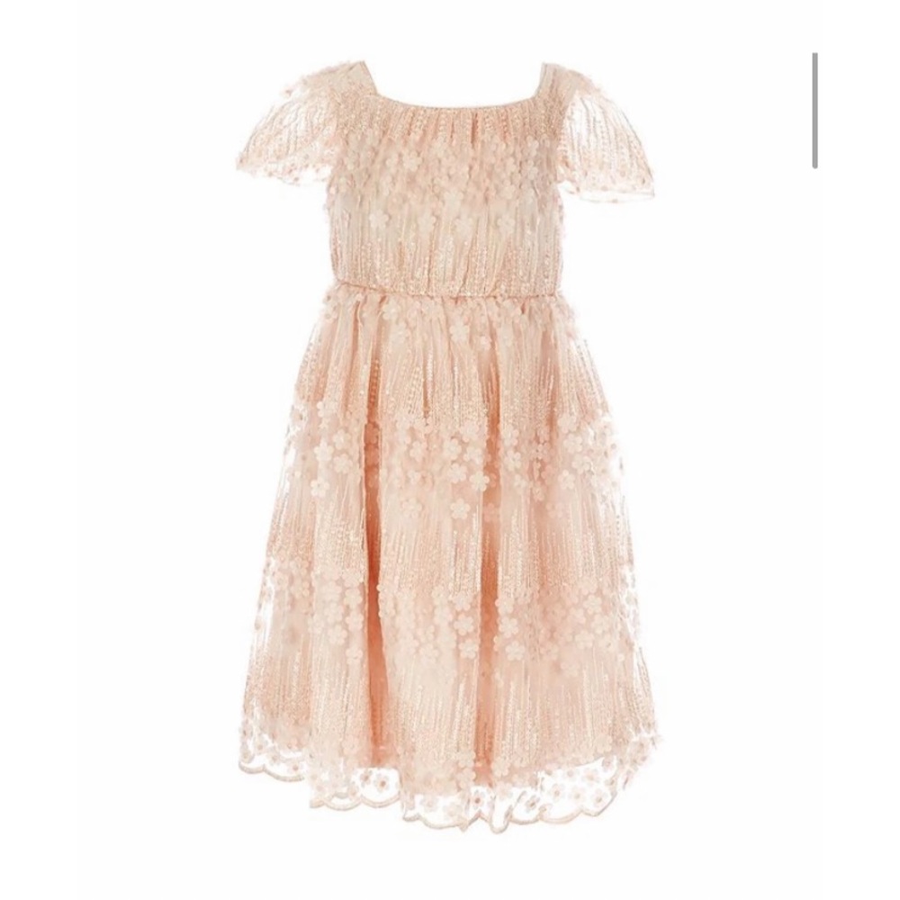 Little Girls 6X Sequin 3D-Floral Embroidered Mesh A-Line Dress